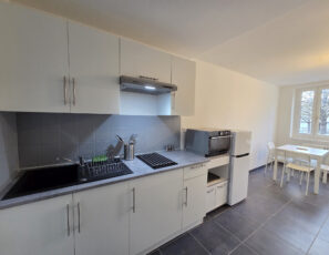 Appartement Triplex 2 pièces meublé – TROYES CENTRE VILLE