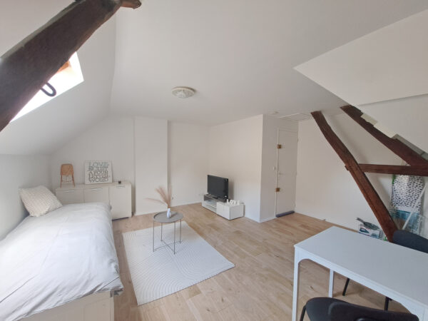 Appartement T1 / Studio meublé dans petit immeuble libre de
