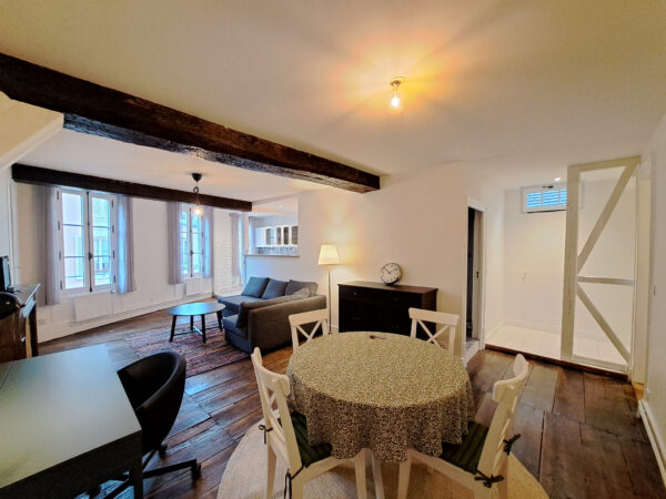 Grand Appartement 2 pièces meublé et bien isolé &#8211; TROYES CEN