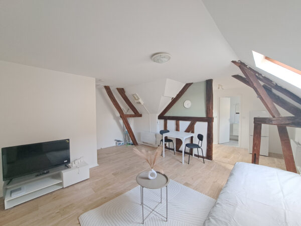 Appartement T1 / Studio meublé dans petit immeuble libre de