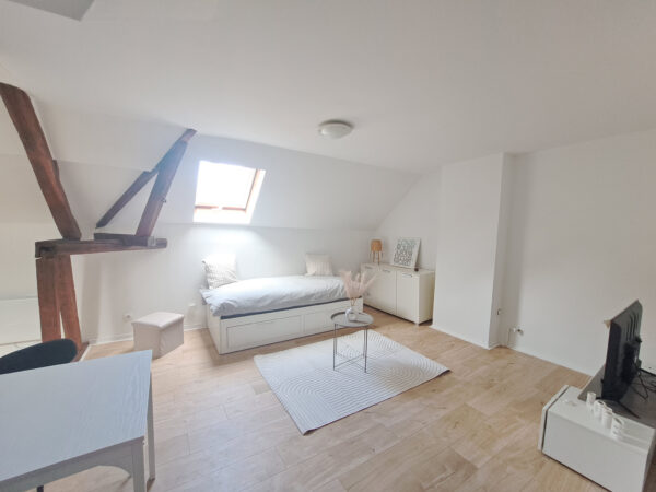 Appartement T1 / Studio meublé dans petit immeuble libre de