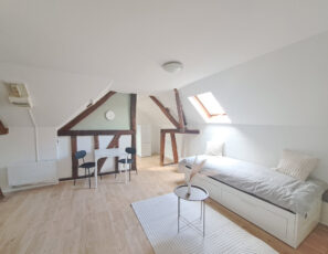 Appartement T1 / Studio meublé dans petit immeuble libre de