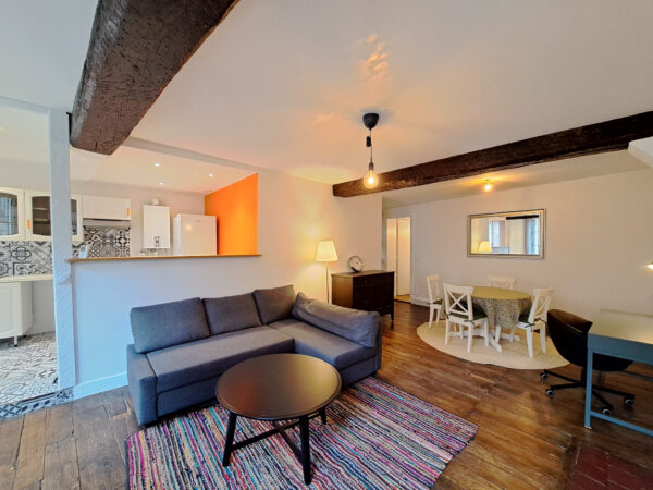 Grand Appartement 2 pièces meublé et bien isolé &#8211; TROYES CEN