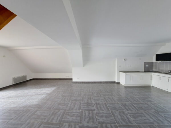 Appartement duplex 5 pièces &#8211; TROYES secteur ECREVOLLES