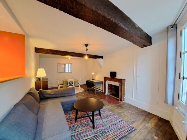 Grand Appartement 2 pièces meublé et bien isolé &#8211; TROYES CEN