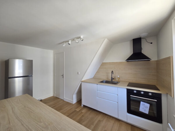 Appartement T2 + bureau meublé &#8211; TROYES HYPER CENTRE VILLE