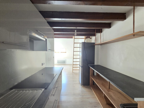 Appartement 2 pièces avec mezzanine &#8211; STE SAVINE TROYES sect
