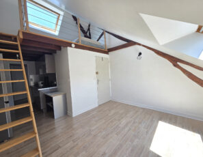 Appartement 2 pièces avec mezzanine – STE SAVINE TROYES sect