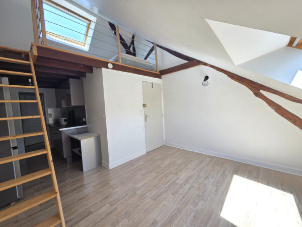 Appartement 2 pièces avec mezzanine &#8211; STE SAVINE TROYES sect