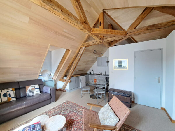 Grand Appartement T2 meublée &#8211; TROYES HYPER CENTRE