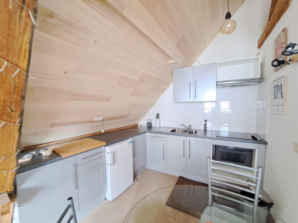 Grand Appartement T2 meublée &#8211; TROYES HYPER CENTRE