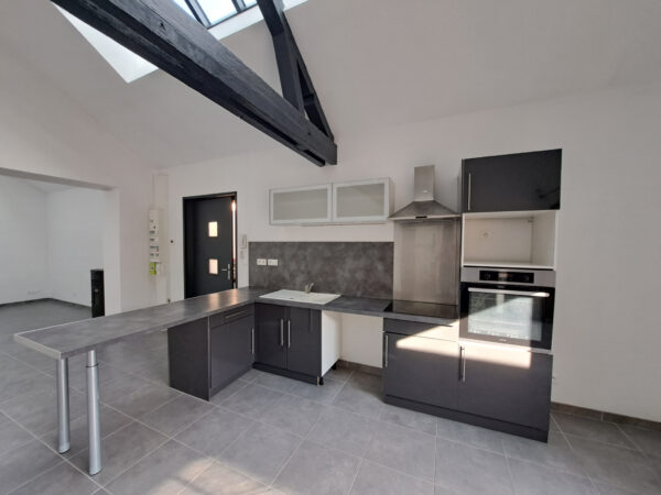 Appartement Loft 3 pièces avec terrasse &#8211; TROYES secteur GAR