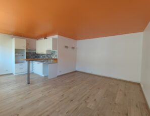 Grand Appartement 2 pièces avec chauffage inclus &#8211; TROYES HY