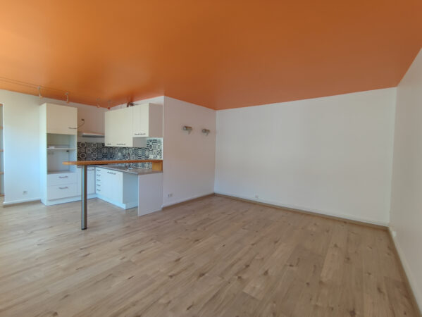 Grand Appartement 2 pièces avec chauffage inclus &#8211; TROYES HY