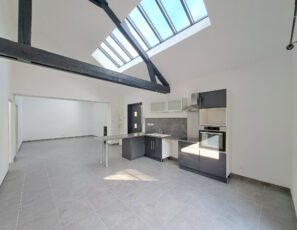 Appartement Loft 3 pièces avec terrasse – TROYES secteur GAR