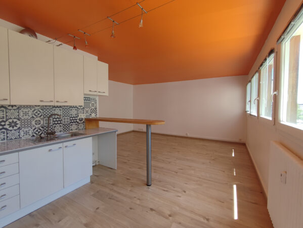 Grand Appartement 2 pièces avec chauffage inclus &#8211; TROYES HY