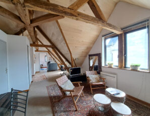 Grand Appartement T2 meublée – TROYES HYPER CENTRE