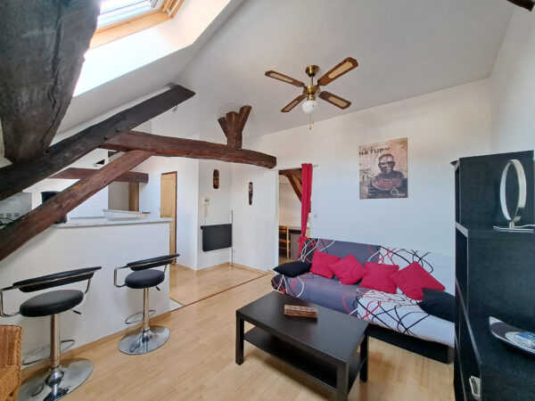 Appartement 2 pièces &#8211; TROYES CENTRE