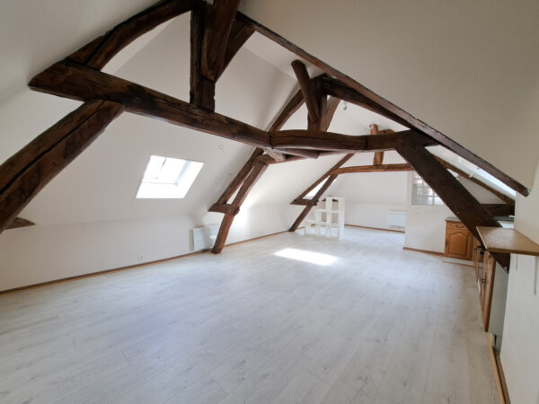 Grand Studio dernier étage – 52m2 – TROYES CENTRE
