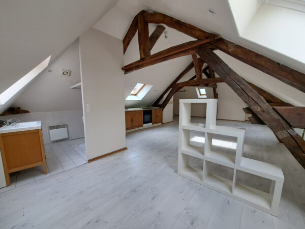 Grand Studio dernier étage – 52m2 – TROYES CENTRE