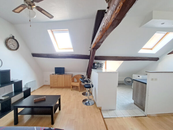 Appartement 2 pièces &#8211; TROYES CENTRE