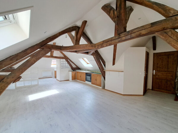 Grand Studio dernier étage – 52m2 – TROYES CENTRE