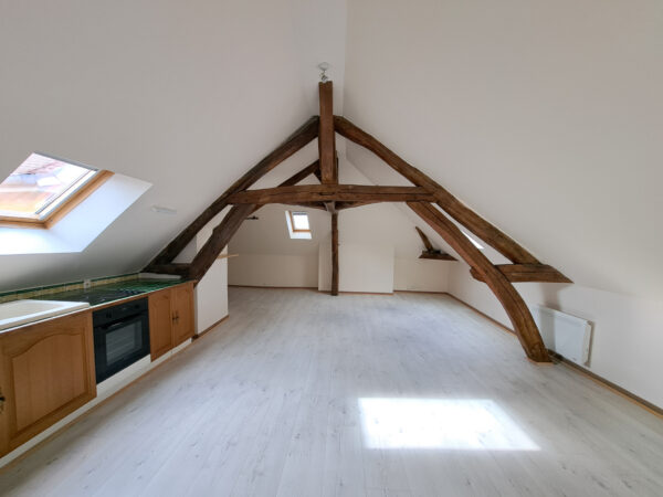 Grand Studio dernier étage – 52m2 – TROYES CENTRE