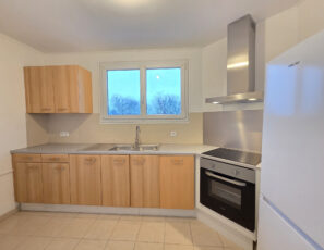 Appartement 3 pièces refait à neuf &#8211; TROYES CENTRE VILLE