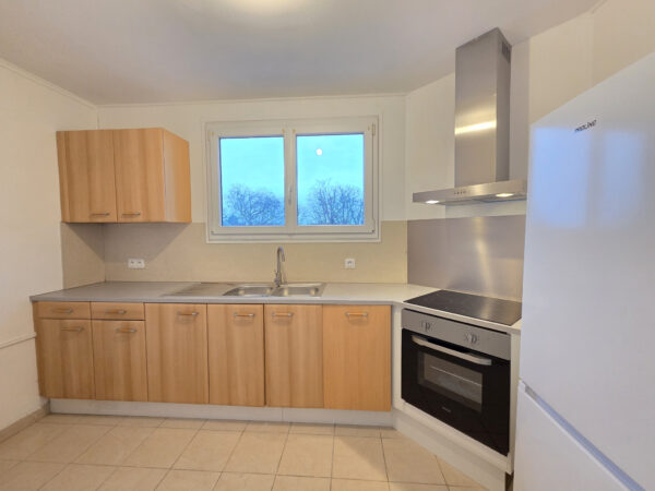 Appartement 3 pièces refait à neuf &#8211; TROYES CENTRE VILLE